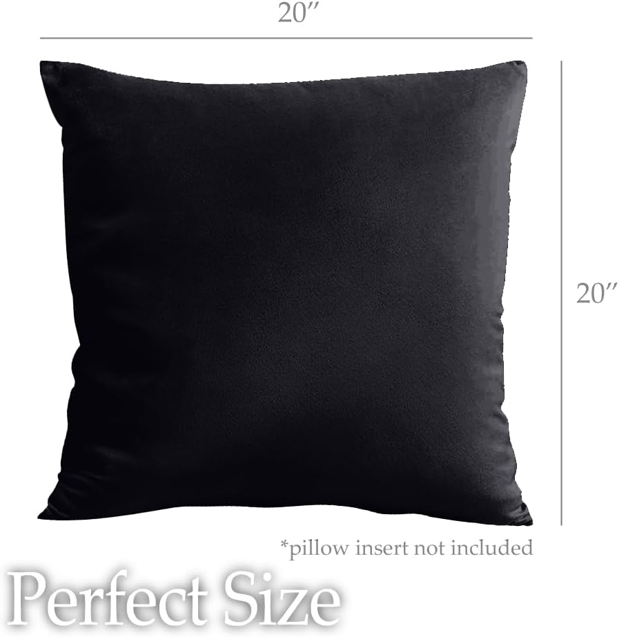lalaLOOM Velvet Throw Pillow Covers, Set of 2, 20x20 Decorative Square Pillows Home Decor, Soft Accent Cases, Silky Machine Washable Pillowcases for Sofa, Couch, Bedroom, Living Room, Jet Black