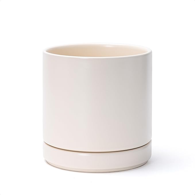 D'vine Dev 6.5 Inch Ceramic Planter Pot with Drainage Hole and Saucer, Indoor Cylinder Round Planter Pot, Oatmeal, 94-O-C-8