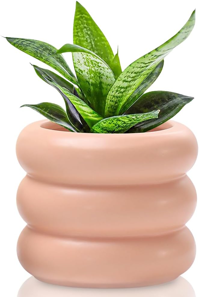 6.5 Inch Modern Plant Pot Pink Ceramic Glaze Succulent Planters for Indoor Unique Pots, Planter with Drainage Holes Small Cute Bubble Porcelain for Herb Snake Plants