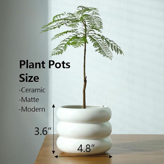 4.7 Inch Modern Plant Pot White Ceramic Glaze Succulent Planters for Indoor Unique Pots, Planter with Drainage Holes Small Bubble Porcelain for Herb Snake Plants