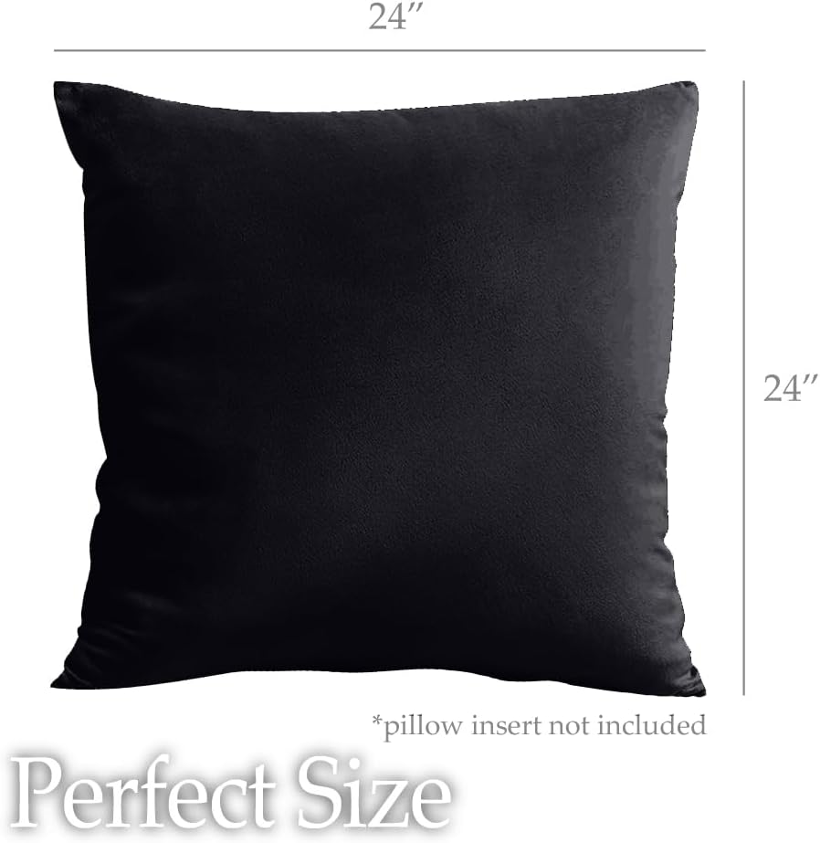 lalaLOOM Velvet Throw Pillow Covers, Set of 2, 24x24 Decorative Square Pillows Home Decor, Soft Accent Cases, Silky Machine Washable Pillowcases for Sofa, Couch, Bedroom, Living Room, Jet Black