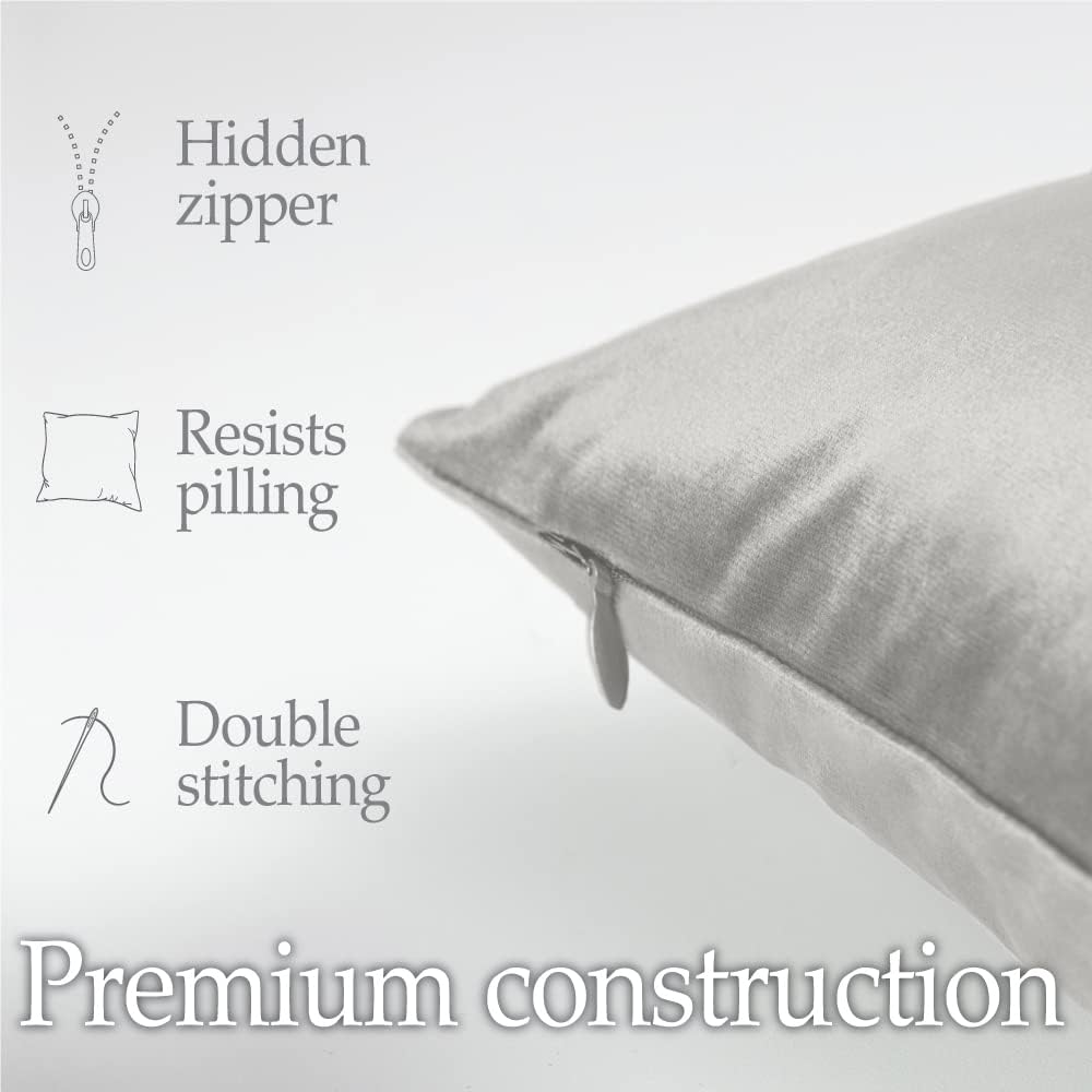 lalaLOOM Velvet Throw Pillow Covers, Set of 2, 20x20 Decorative Square Pillows Home Decor, Soft Accent Cases, Silky Machine Washable Pillowcases for Sofa, Couch, Bedroom, Living Room, Light Gray