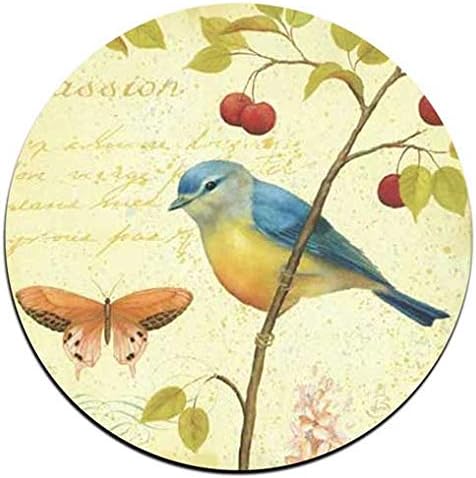 Bird and Butterfly Round Coaster Set - Made of Recycled Rubber - Set of 4