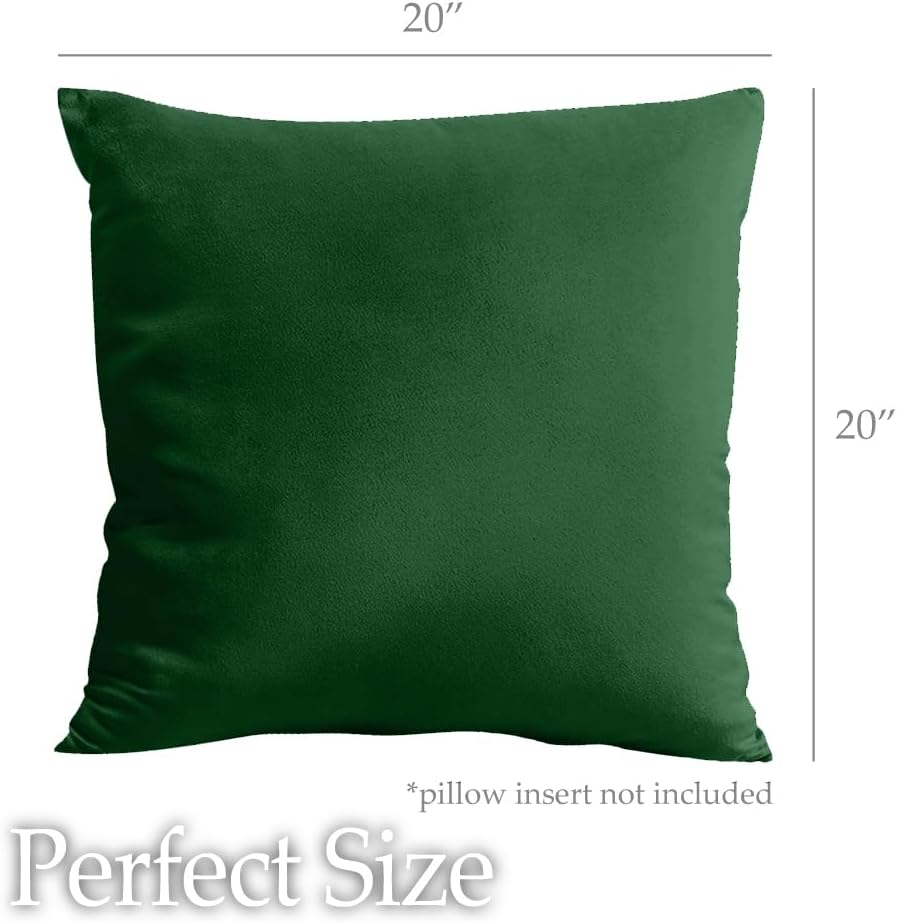 lalaLOOM Velvet Throw Pillow Covers, Set of 2, 20x20 Decorative Square Pillows Home Decor, Soft Accent Cases, Silky Machine Washable Pillowcases for Sofa, Couch, Bedroom, Living Room, Hunter Green