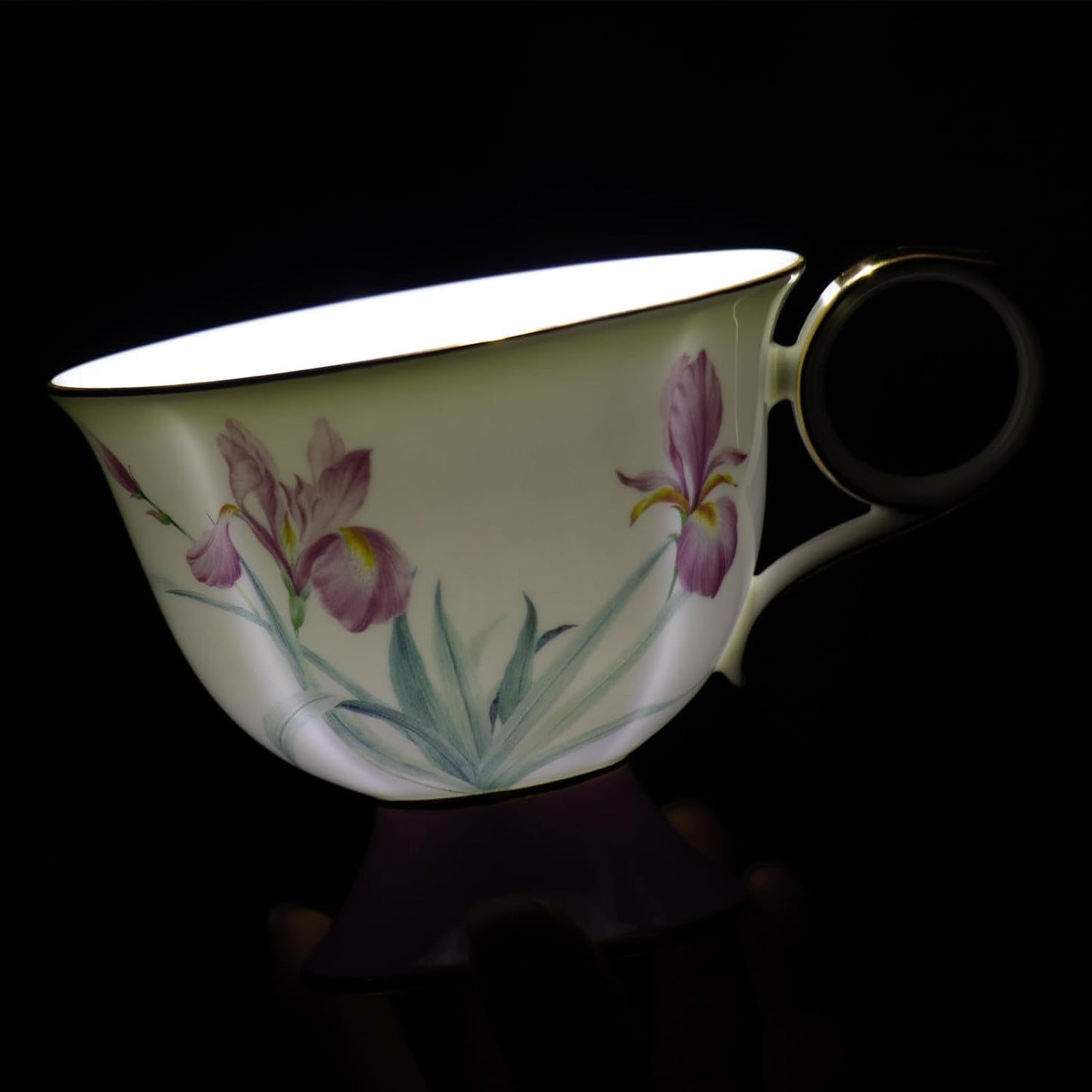 KAMMAK Ceramic Coffee Cups Saucers Set of 2, Porcelain Espresso Cups with Saucers, 8.45 oz Handcrafted Elegant Bone China Tea Cups, Iris Flower & Butterfly Pattern Teacup for Party, Office, Gift