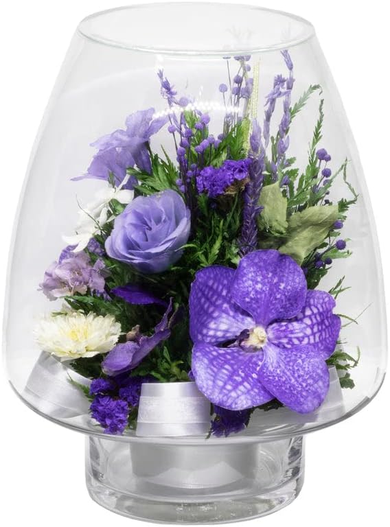 Fiora Flower | Long Lasting Orchids| Lasts up to 5 Years | No Water Need | Allergy Free | Odor Resistant | Unique Present Gift