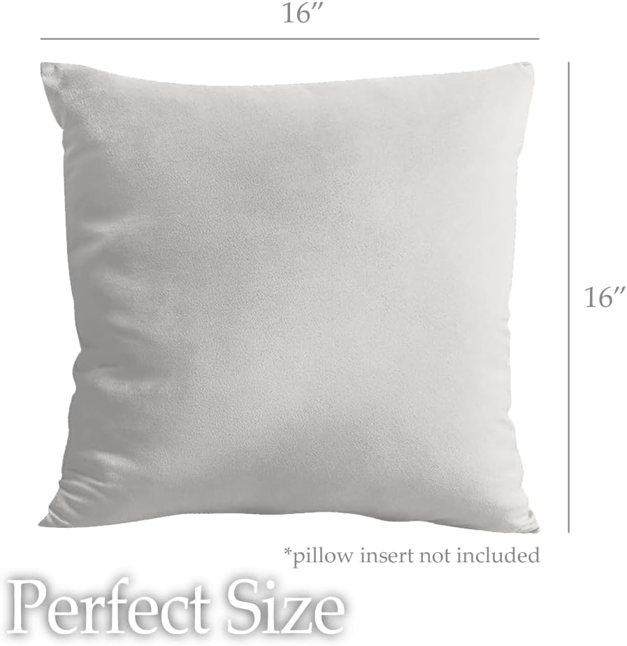 lalaLOOM Velvet Throw Pillow Covers, Set of 2 Decorative Square Pillows Home Decor, Soft Accent Cases, Silky Machine Washable Pillowcases for Sofa, Couch, Bedroom, Living Room, 16x16, Light Gray