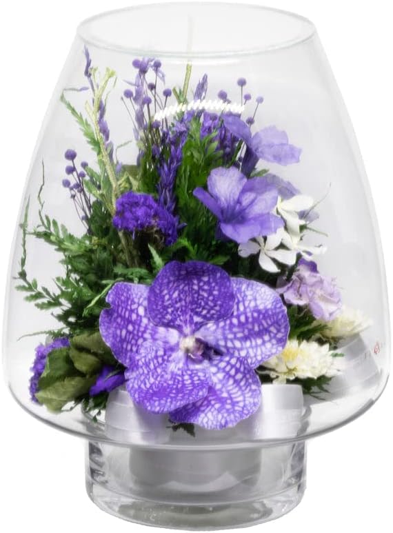 Fiora Flower | Long Lasting Orchids| Lasts up to 5 Years | No Water Need | Allergy Free | Odor Resistant | Unique Present Gift