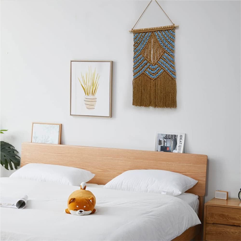 BMIDRUT Hanging Macrame Tapestry Dream Catchers Hand Woven Tapestries Boho Wall Art Decor Home Wall Decor Wall Pediment