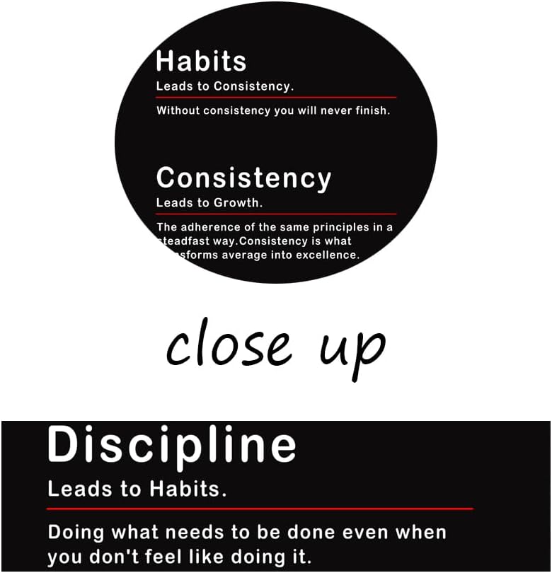 Discipline Habits Consistency Motivational Office Wall Decor Inspiring Posters Inspirational Canvas Wall Art Prints Wall Picture Paintings Artwork Home Living Room School Decor Framed[24''W x 36''H]
