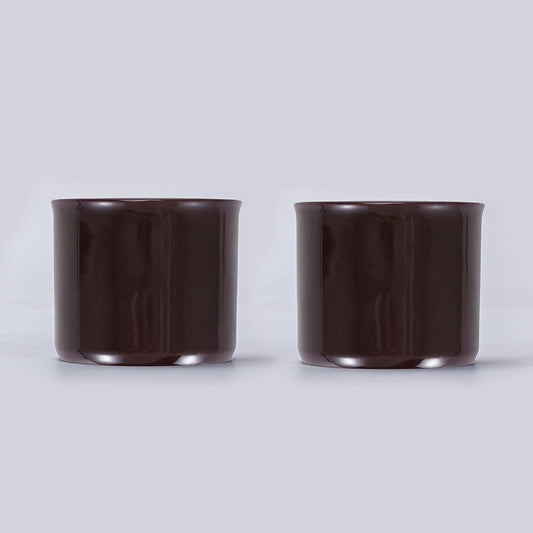 Espresso Cups Set of 2, Ceramic Espresso Cups, Expresso Shots Cups, 2.5oz Tea Cups, Demitasse Cups (2, magic inside)