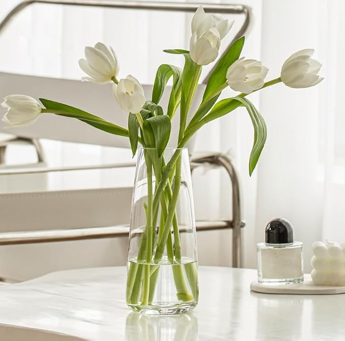 FANTESTICRYAN Modern Glass Vase Irised Crystal Clear Glass Vase for Home Office Decor (Crystal Clear)