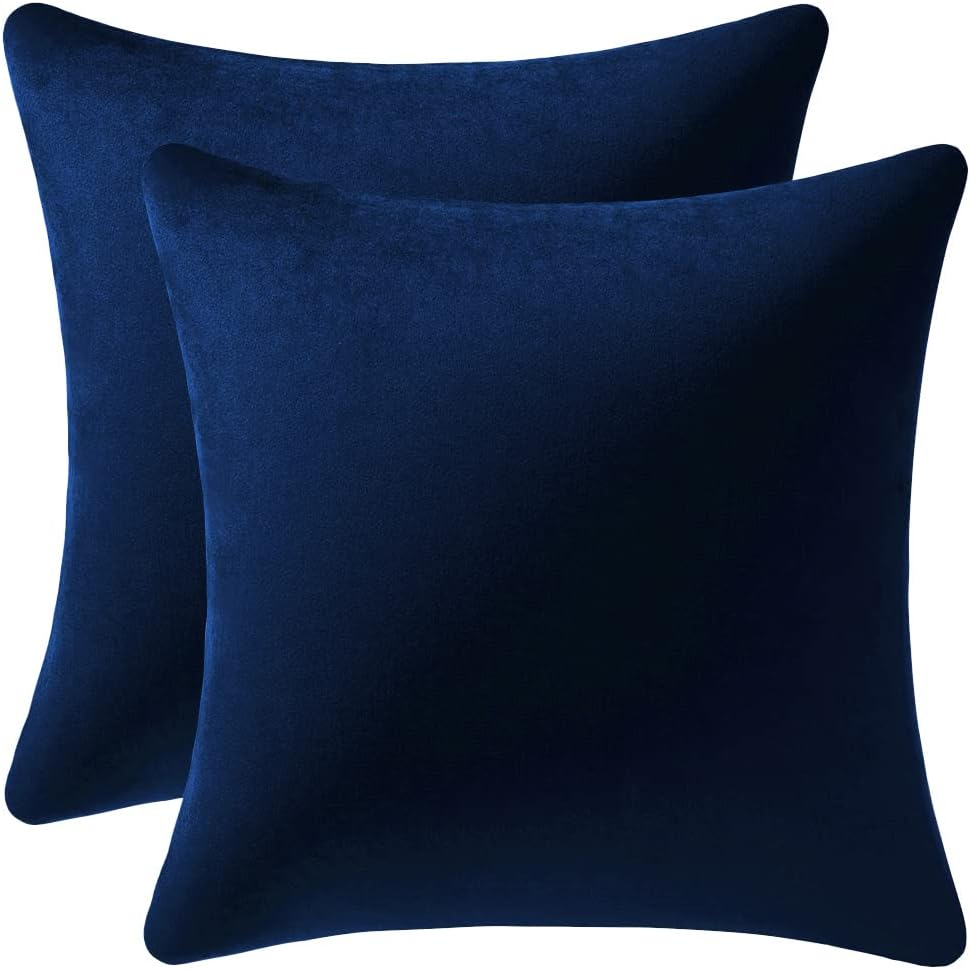 Couch Pillow Cases 22x22 Navy: 2 Pack Cozy Soft Velvet Square Throw Pillow Covers for Farmhouse Home Decor