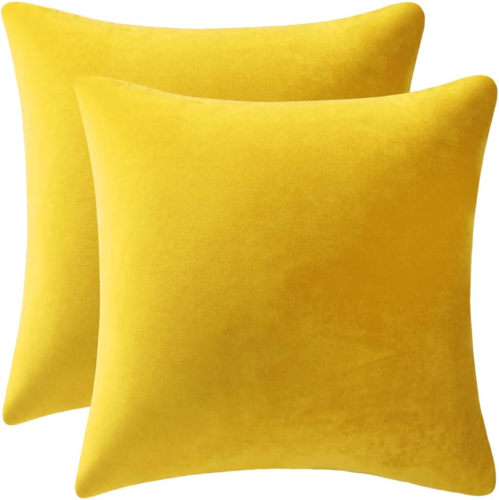 Couch Pillow Covers 16x16 Yellow: 2 Pack Cozy Soft Velvet Square Throw Pillow Cases for Farmhouse Home Decor