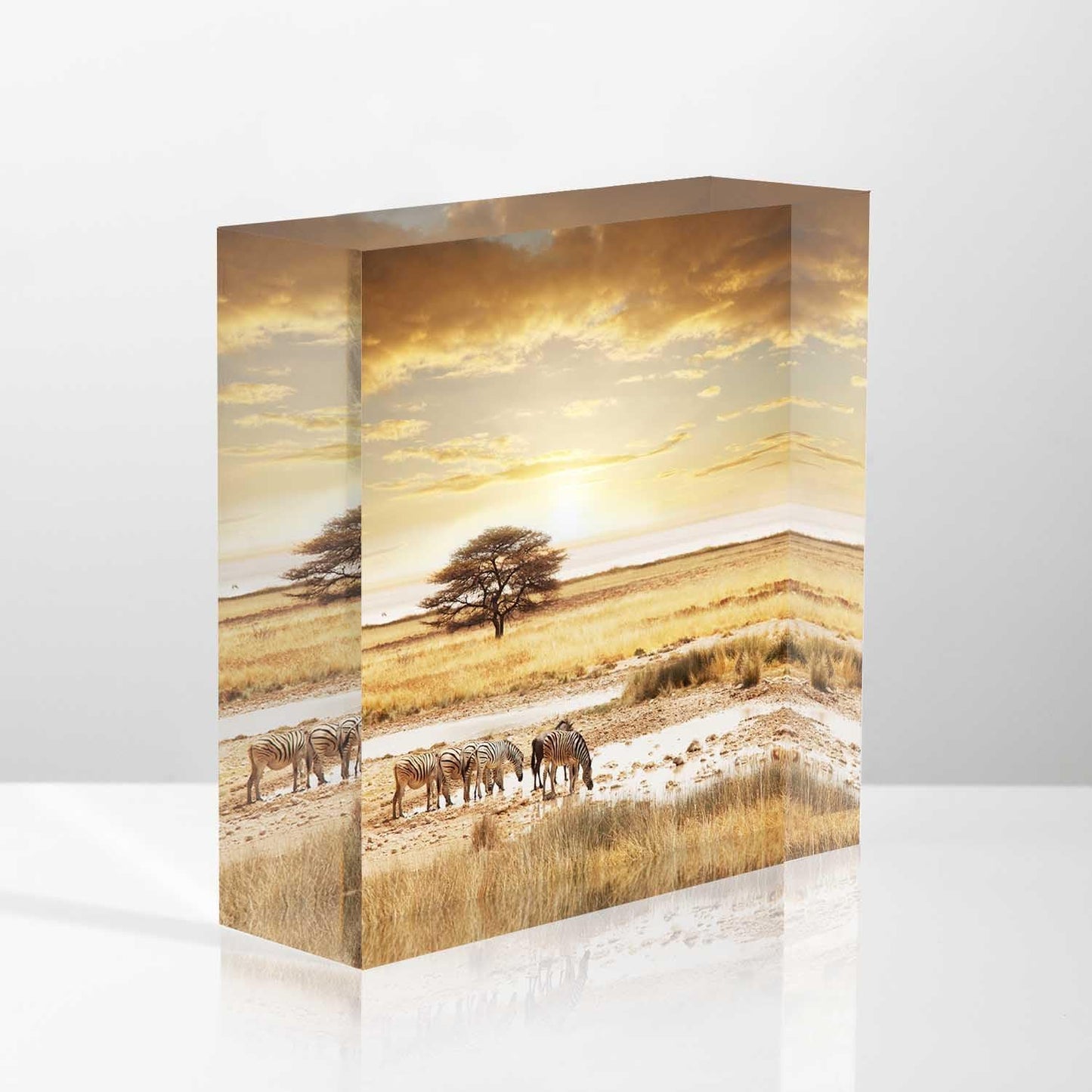 Home Office Desk Decor Sunset African Safari Encouraging Gifts for Women | Retirement Gift for Woman | Thank You Gifts | Birthday Present, 4x4x1inch