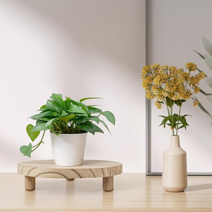 2 Pcs Wood Plant Stand Wooden Plant Stool Round Riser Display Stand Flower Pot Holder Low Plant Pot Flower Pedestal for Indoor Outdoor (Wood, 9.8 Inches)