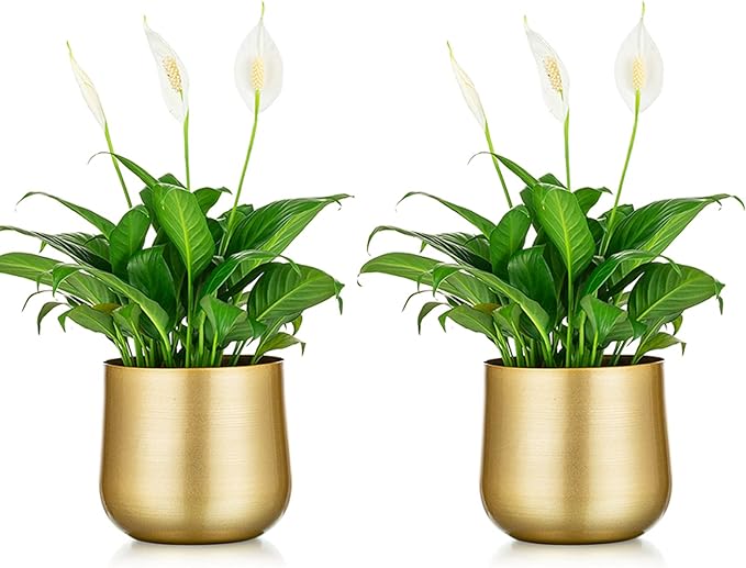 Nuptio 2 Pcs Plant Pot Gold Vase Metal Flower Pot Vase with Drainage Hole, Modern Storage Organizer Decorative Gifts for Wedding Indoor Outdoor Living Room Balcony Decoration Floor Display