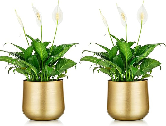 Nuptio 2 Pcs Plant Pot Gold Vase Metal Flower Pot Vase with Drainage Hole, Modern Storage Organizer Decorative Gifts for Wedding Indoor Outdoor Living Room Balcony Decoration Floor Display