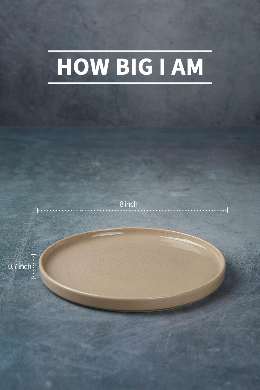 famiware Nebula 6 Pieces Salad Plates Set, 8 inch Dessert Plates, Scratch Resistant, Stoneware Dinnerware, Kitchen Modern Rustic Serving Dishes, Brown