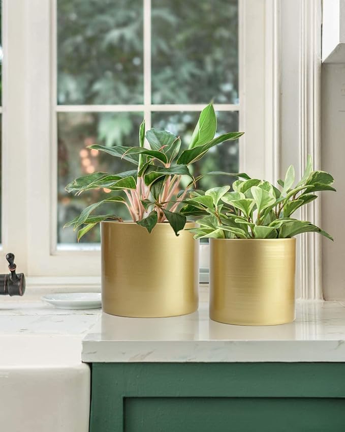 Vixdonos Metal Flower Pots Garden Planters Indoor Round Succulent Containers, Pack 2 Cactus Plant Pots with Drainage Hole (5.9inch+6.7inch, Gold)