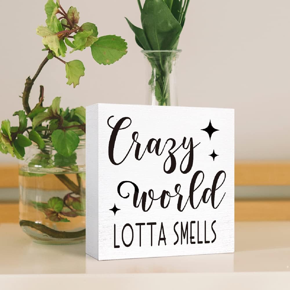 Funny Crazy World Lotta Smells Wood Block Sign for Shelf, Tabletop Decor - Farmhouse Bathroom Wooden Box Sign
