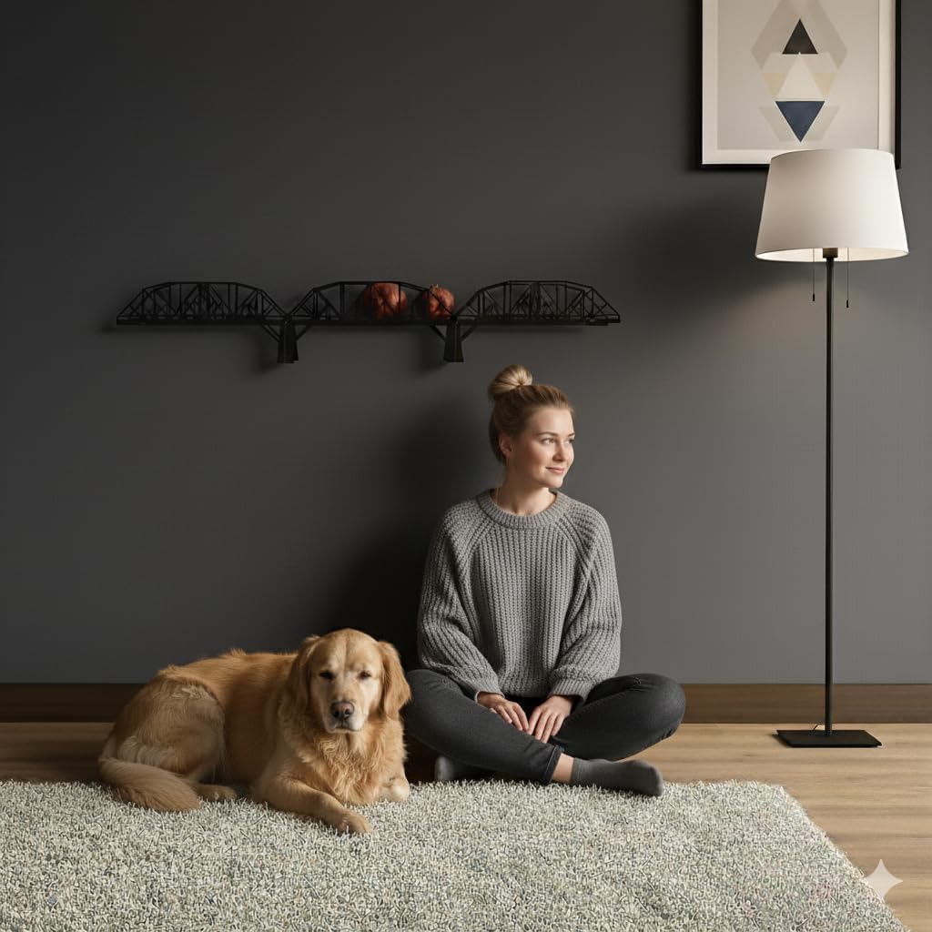 Metal Bridge Shelf – Iron Floating Shelf for Wall or Desk Use – Decorative Storage Rack for Books, Plants & Home Decor – Wall-Mounted or Tabletop Display (Trenton Black)