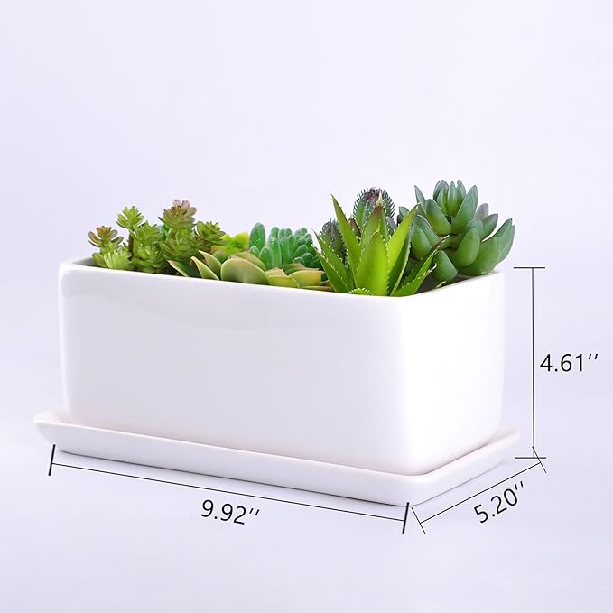 VanEnjoy 10 Inch White Rectangle Ceramic Succulent Planter Pot Decorative Cactus Plant Pot Flower Container with Ceramic Tray