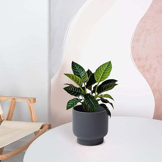 LB Grey Ceramic Planters for Indoor Plants, Succulent Plant Pots Ceramic Flower Pots, Modern Plant Pot for Living Room Office Home Decor, Round Flower Pot of 4.3 Inch(Plant Not Included)