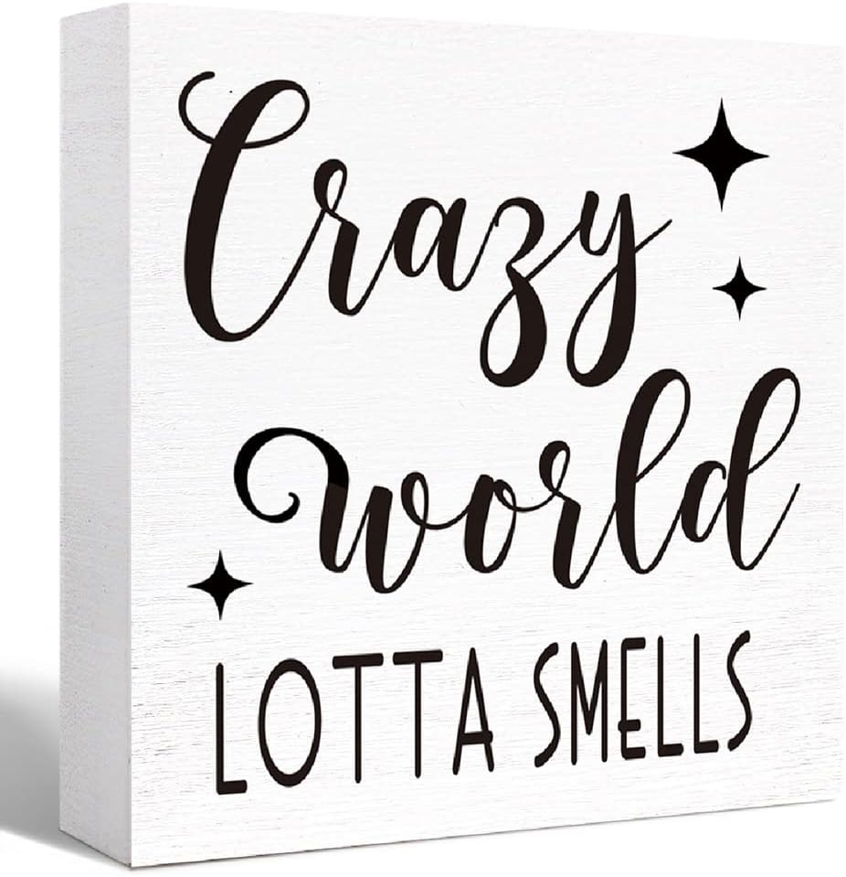 Funny Crazy World Lotta Smells Wood Block Sign for Shelf, Tabletop Decor - Farmhouse Bathroom Wooden Box Sign