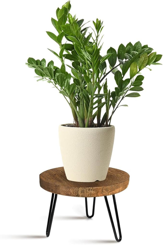 Plant Stand Indoor Outdoor Wood Mid Century Plant Stand for Indoor Plants, Modern Plant Table Round Plant Stool, Boho Rustic Wooden Stool for Plant Pot Hol (L)