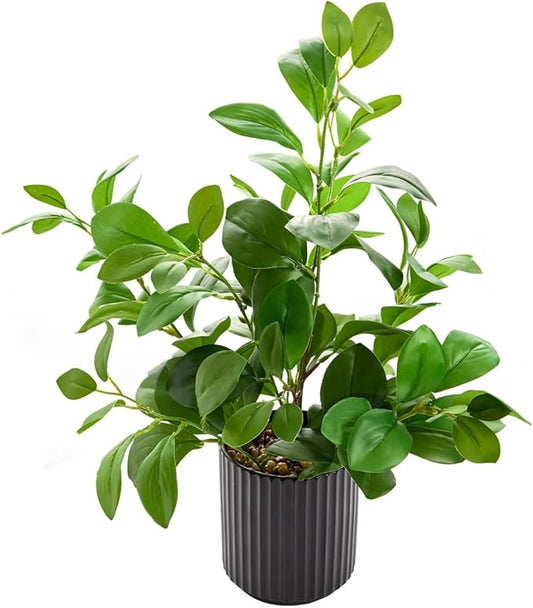 16 inch Artificial Plants Indoor Realistic Touching Evergreen Leaf Fake Plant with Creamic Black Pot for Home Office Living Room Bathroom Office Table Bookshelf Decor
