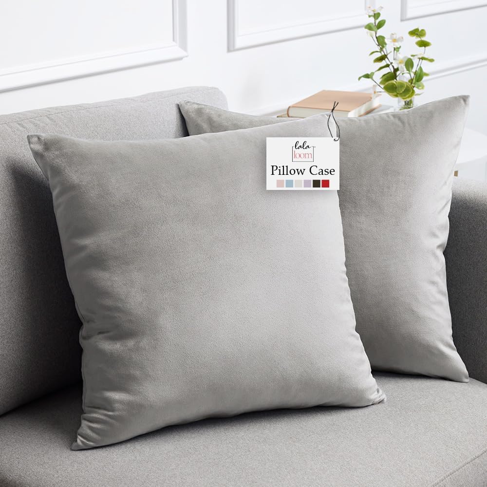 lalaLOOM Velvet Throw Pillow Covers, Set of 2, 24x24 Decorative Square Pillows Home Decor, Soft Accent Cases, Silky Machine Washable Pillowcases for Sofa, Couch, Bedroom, Living Room, Light Gray