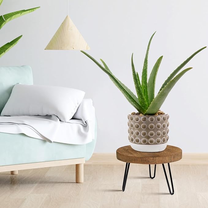 Plant Stand Indoor Outdoor Wood Mid Century Plant Stand for Indoor Plants, Modern Plant Table Round Plant Stool, Boho Rustic Wooden Stool for Plant Pot Hol (L)