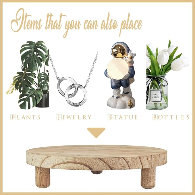 2 Pcs Wood Plant Stand Wooden Plant Stool Round Riser Display Stand Flower Pot Holder Low Plant Pot Flower Pedestal for Indoor Outdoor (Wood, 9.8 Inches)