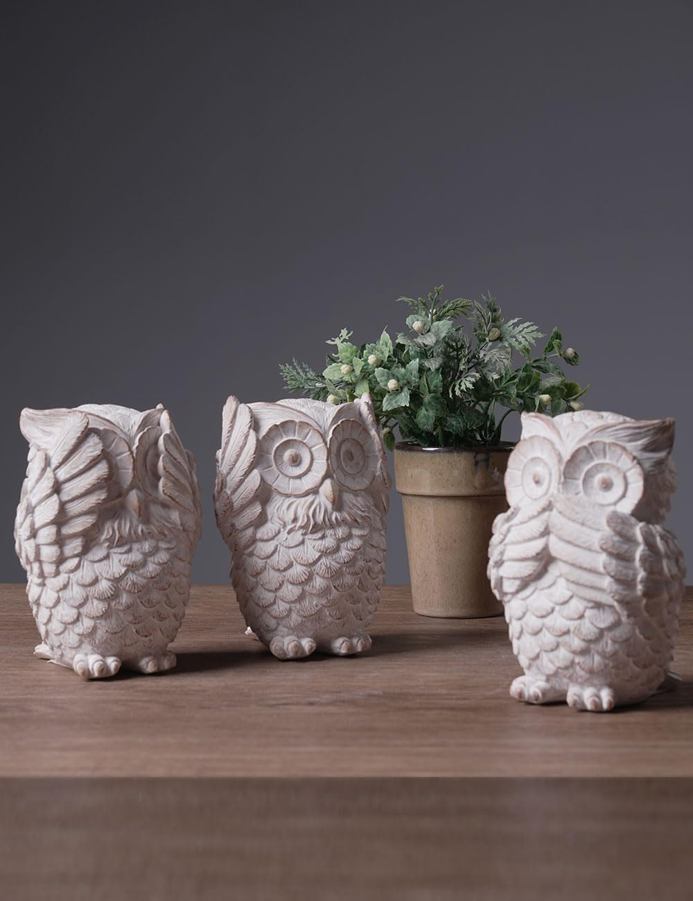 HAUCOZE 3pcs Owl Figurine Statue Animal Decor Gifts Modern Arts Sculpture Polyresin 5.1inch