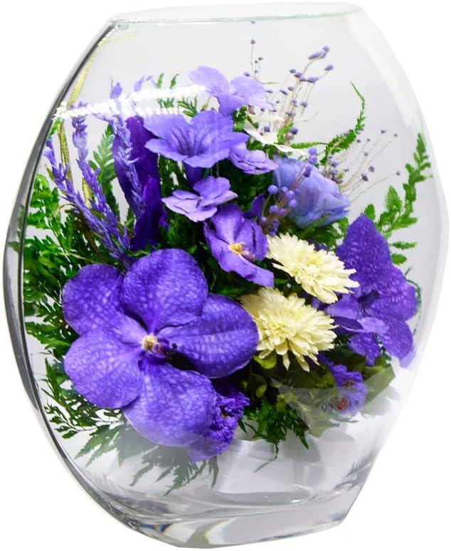 Fiora Flower | Long Lasting Orchids| Lasts up to 5 Years | No Water Need | Allergy Free | Odor Resistant | Unique Present Gift