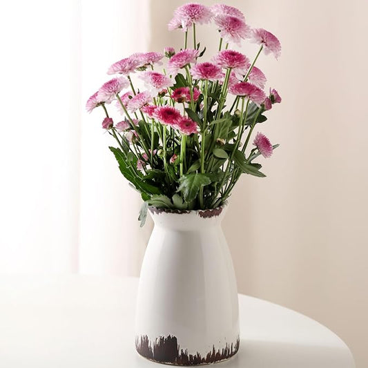 hjn White Flower Vase- Ceramic Vase for Decor, White vase for Flowers, Modern Vases for Living Room/Home Decor Accents/Entryway/Mantel/Bookshel