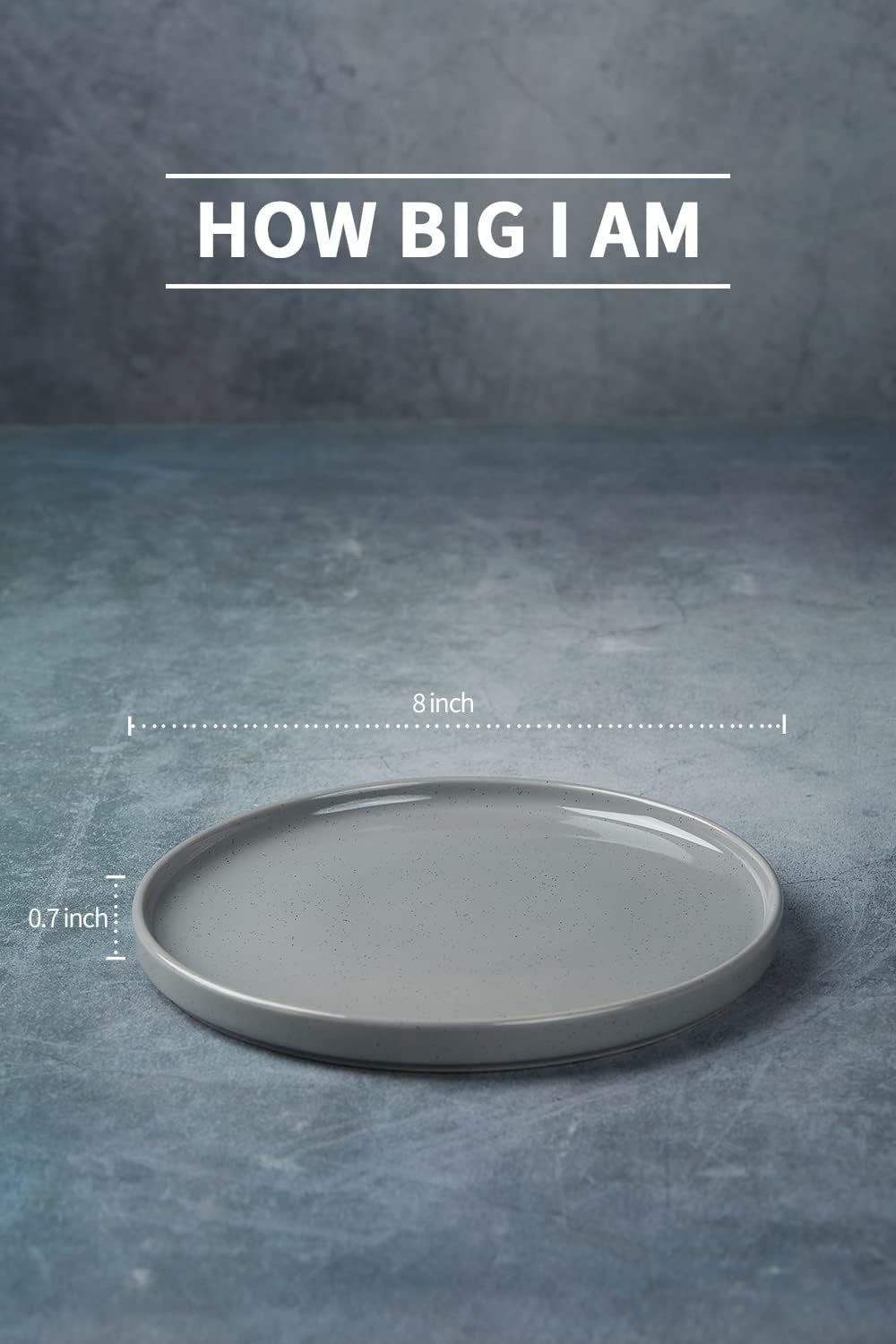 famiware Nebula 6 Pieces Salad Plates Set, 8 inch Dessert Plates, Scratch Resistant, Stoneware Dinnerware, Kitchen Modern Rustic Serving Dishes, Deep Gray