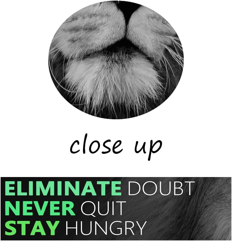 Inspirational Canvas Wall Art Animal Lion Positive Motivational Poster Canvas Painting Wall Art Framed Artwork Prints Picture for Living Room Office Gym [40''Wx 30''H]