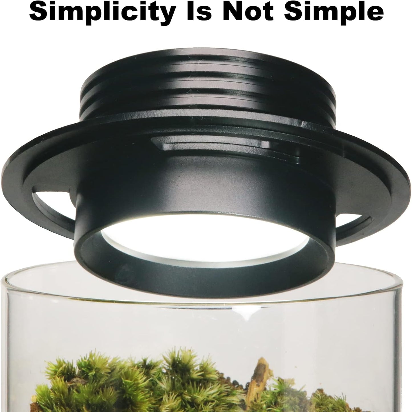 Desktop Glass Plant Terrarium with Grow Light (H:7.8" D:4"), for Succulent, Moss, Miniature Gardening Landscape, Betta Fish Tank, Office Home Decoration, Plant Lovers Gifts