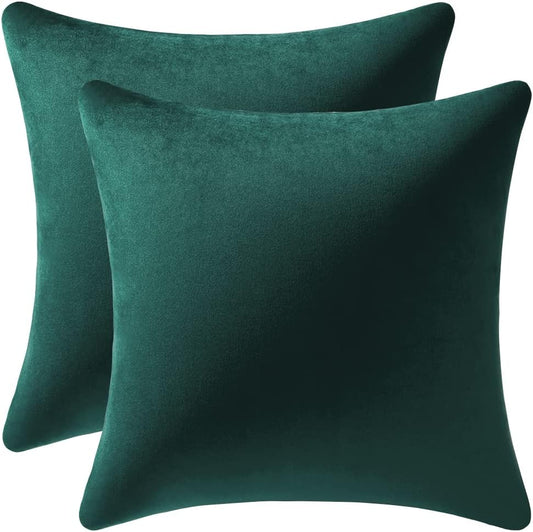 Decorative Pillow Covers 18x18 Green: 2 Pack Cozy Soft Velvet Square Throw Pillow Cases for Farmhouse Home Decor
