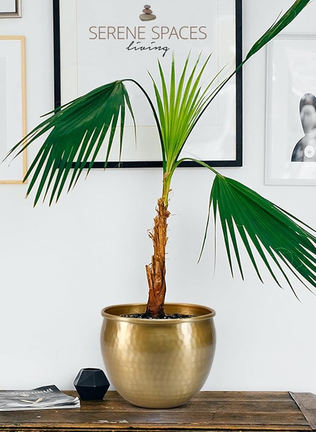 Serene Spaces Living Gold Brass Look Vintage Aluminum Vase - Perfect Decorative Accent for Plants, Weddings, and Events, Metallic Pot for Home, Medium, Measures 9" Diameter and 7" Tall