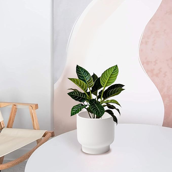 LB White Ceramic Planters for Indoor Plants, Succulent Plant Pots Ceramic Flower Pots, Modern Plant Pot for Living Room Office Home Decor, Round Flower Pot of 4.3 Inch(Plant Not Included)