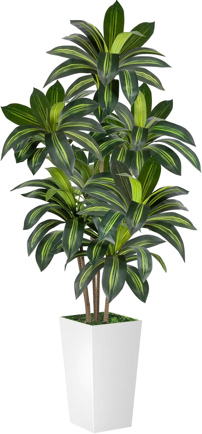 Dracaena Tree 6FT Artificial, 72in Tall Faux Dracaena Tree with 15.7 White Planter, Fake Potted Tree for Indoor & Outdoor Home Office Decor