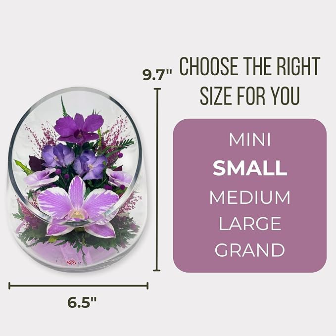 Fiora Flower Elegant Orchid Arrangement in Glass Vase | Preserved Real Orchids Lasting 5 Years | Ideal for Home Decor or Romantic Gift