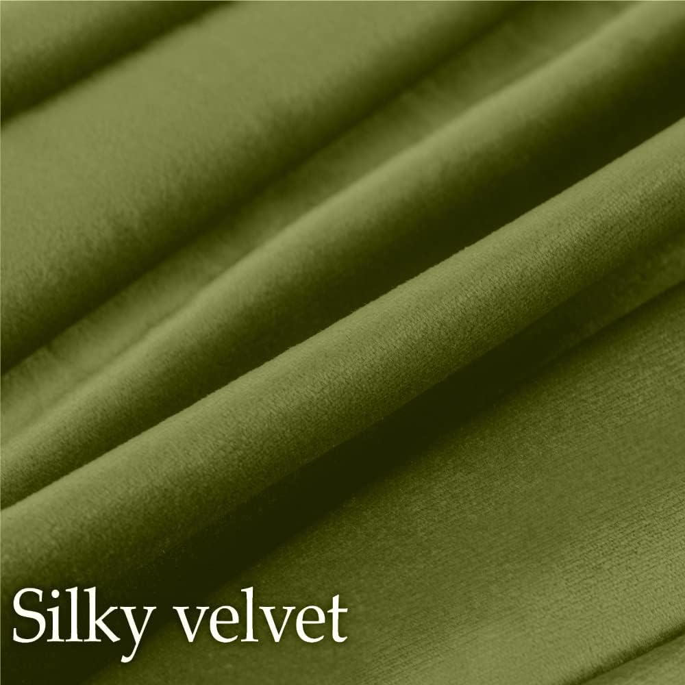 lalaLOOM Velvet Throw Pillow Covers, Set of 2, 18x18 Decorative Square Pillows Home Decor, Soft Accent Cases, Silky Machine Washable Pillowcases for Sofa, Couch, Bedroom, Living Room, Moss Green