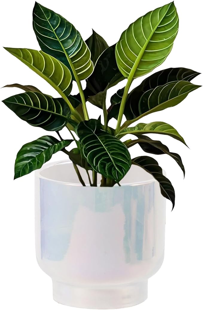 LB Blue White Ceramic Planters for Indoor Plants, Succulent Plant Pots Ceramic Plant Pot, Modern Flower Pots for Living Room Office Home Decor, Round Flower Pot of 4.3 Inch(Plant Not Included)