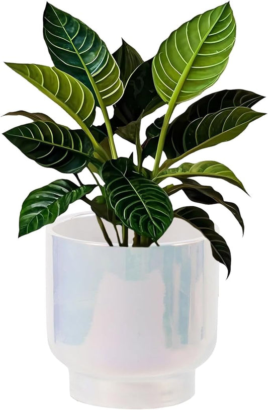 LB Blue White Ceramic Planters for Indoor Plants, Succulent Plant Pots Ceramic Plant Pot, Modern Flower Pots for Living Room Office Home Decor, Round Flower Pot of 4.3 Inch(Plant Not Included)