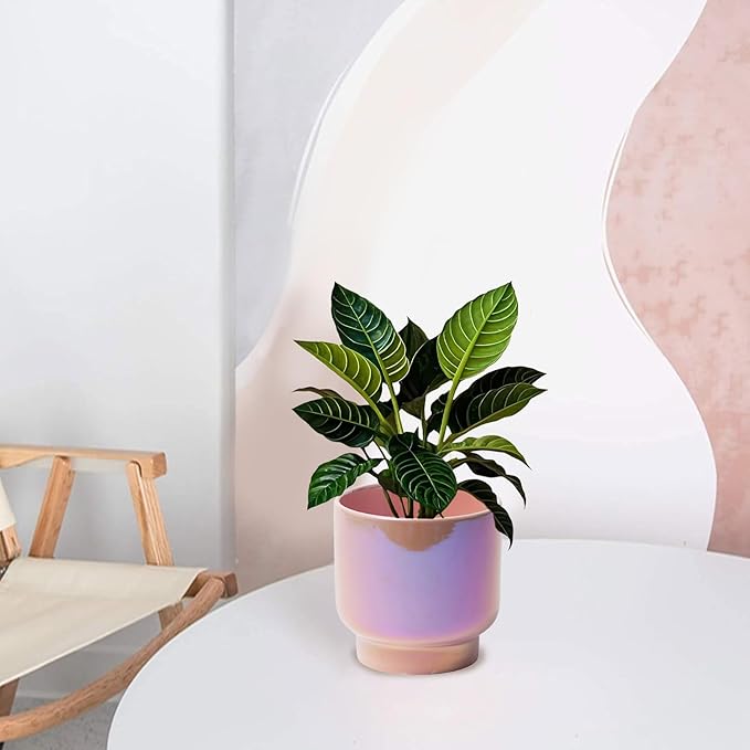 LB Pink Purple Ceramic Planters for Indoor Plants, Succulent Plant Pots Ceramic Plant Pot, Cute Flower Pots for Living Room Office Home Decor, Round Flower Pot of 4.3 Inch(Plant Not Included)