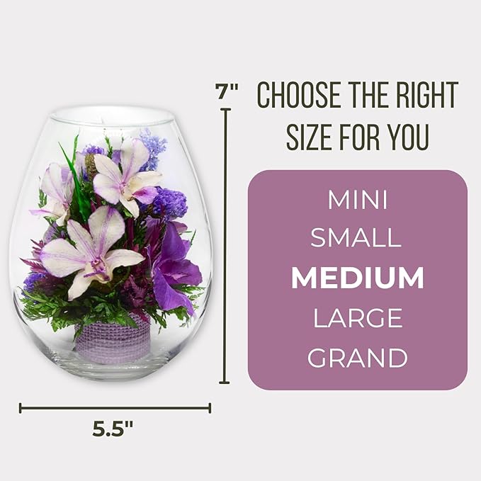 Fiora Flower Elegant Orchid Arrangement in Glass Vase | Preserved Real Orchids Lasting 5 Years | Ideal for Home Decor or Romantic Gift